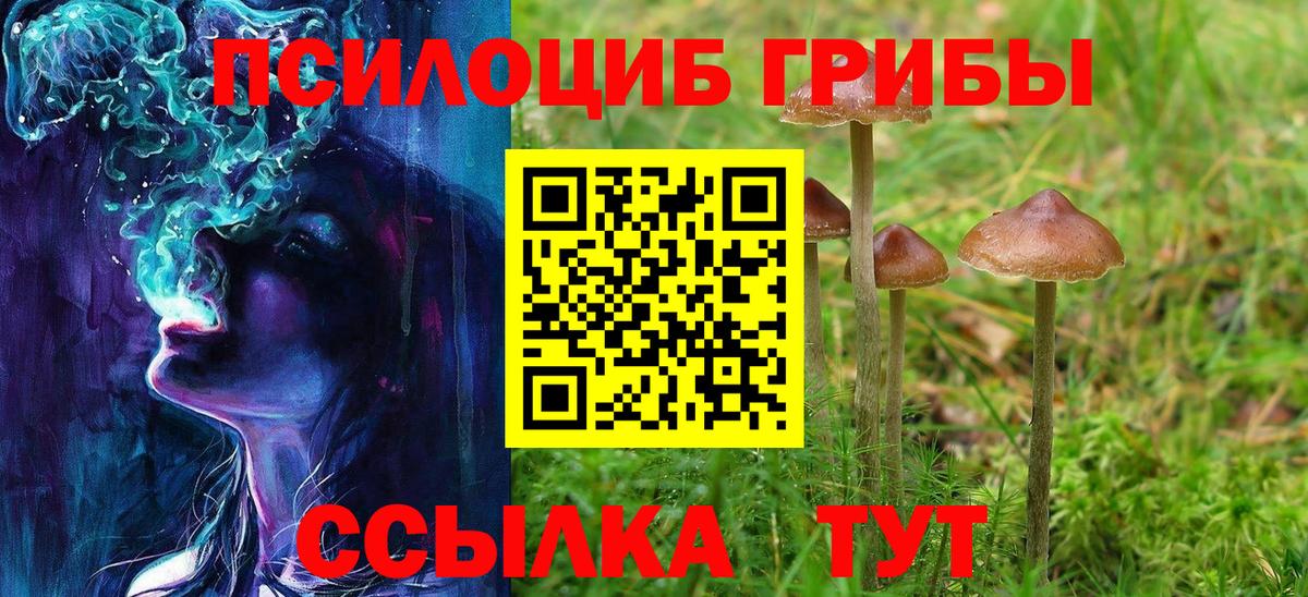 Галлюциногенные грибы Magic Shrooms  Псилоцибиновые грибы GOLDEN TEACHER  Аксай  Вход с VPN 
