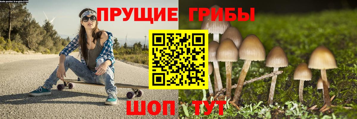 Псилоцибиновые грибы прущие грибы Аксай